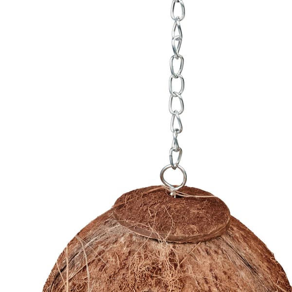 Birdhouse kokos set om 2