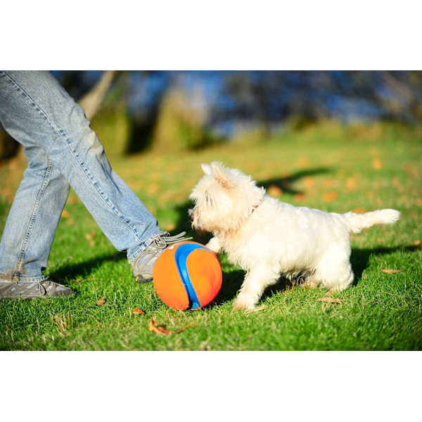 Chuckit Kick Fetch S 14 cm