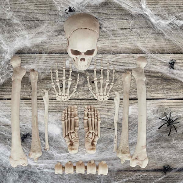 Halloween Skeleton -koristelusarja – 12 luuta