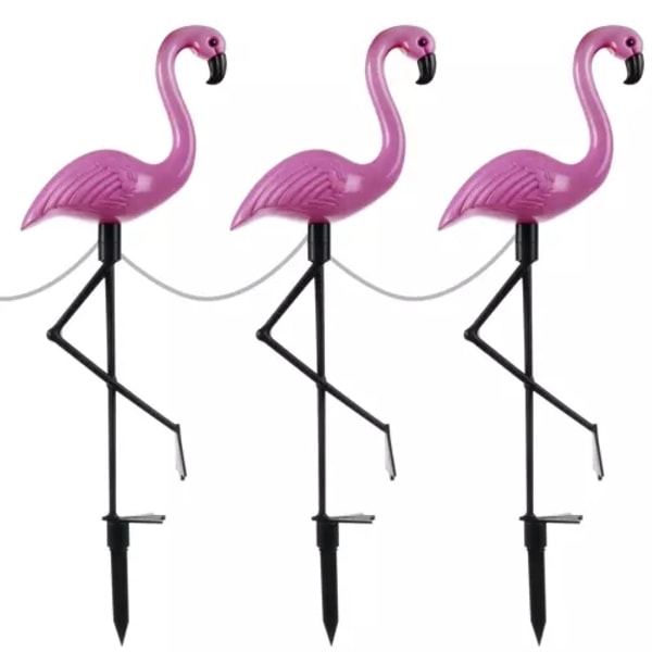 Aurinkopuutarhavalaisin - flamingo Gardlov 21151