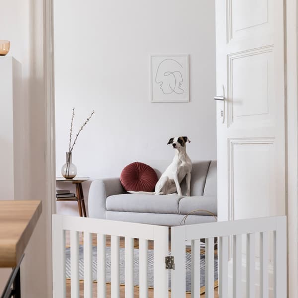 Fristående hundstängsel