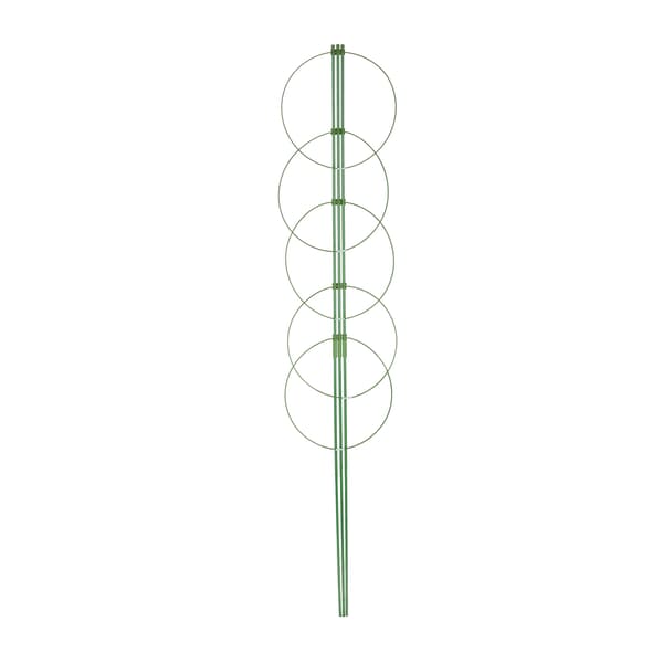 Spaljé 150 cm set om 3