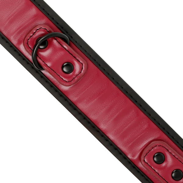 Fetish Submissive Dark Room - Neopren Foder Chain Halsband