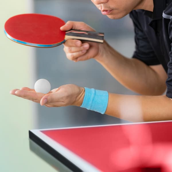 Fällbart bordtennisbord med tillbehör