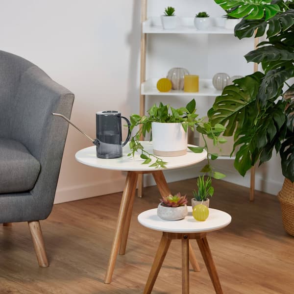 Vandkande til potteplanter 1 liter