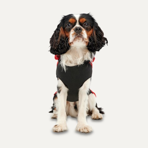 Gooeez Kangaroo Fleece -huppari XS punainen/musta