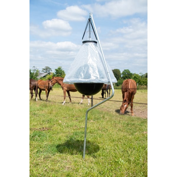 Loer Horsefly ansa valmis