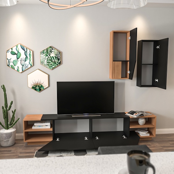 TV-enhet Zebra - Svart, Teak