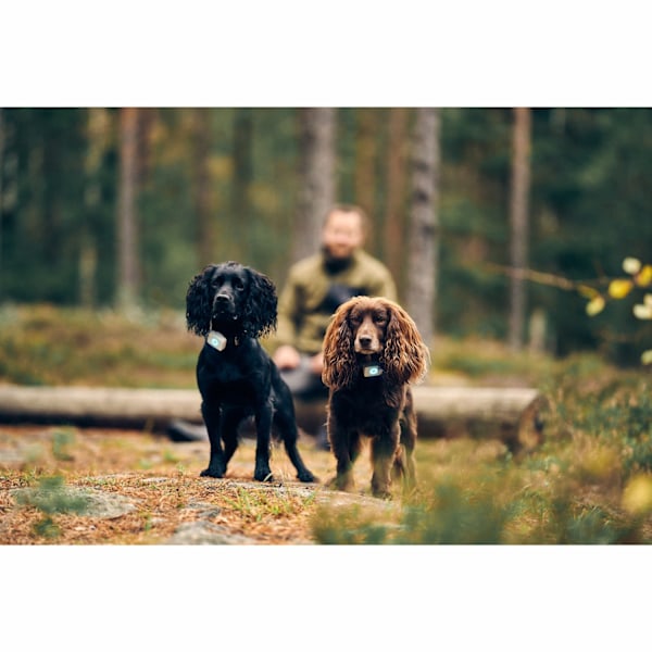 Lildog 2 GPS Tracker til hunde