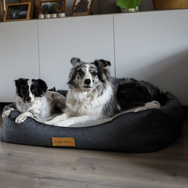 Personlig ortopædisk hundeseng Dogeste XXL grå-sort