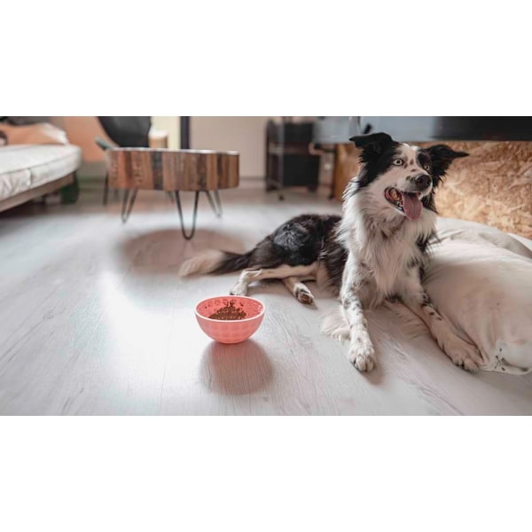 Spis Langsomt Lev Længre Lick Mat Wobble Bowl Rød