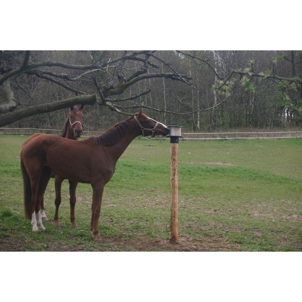 Lickblock-teline KS-tankoon 10 kg