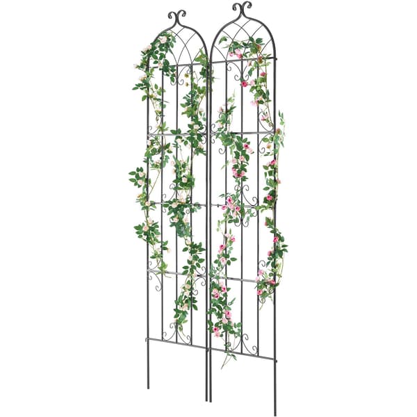 Trädgårdsspaljé, rostfri metall, 2-pack, 227 x 51 cm