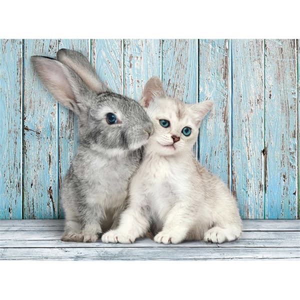 500 st. CB HQC Cat & Bunny