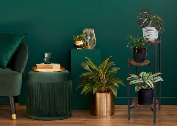Metallväxtställ, Loftstil, 3 hyllor, Svart