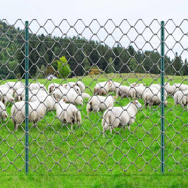 U-kanals stålstaketstolpar, 1,5 m, 10-pack, gröna