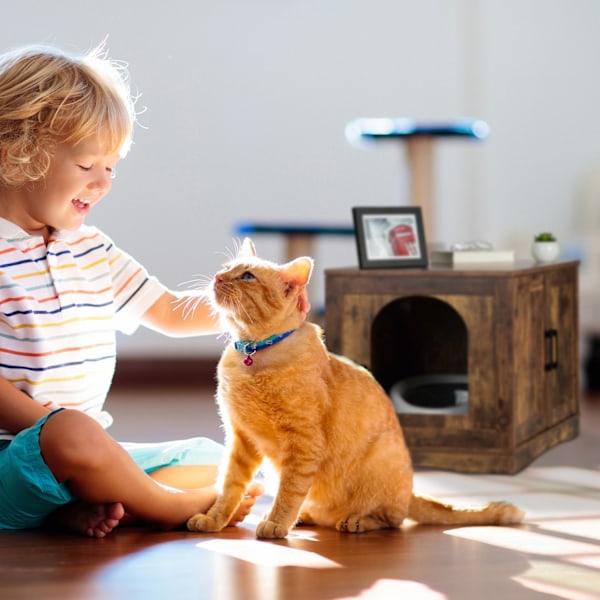 Kattskåp för kattlåda XL