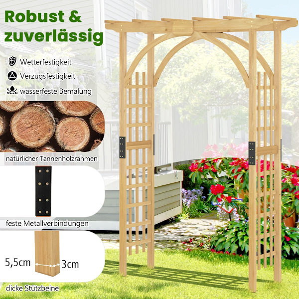 Trädgårdsbåge för klätterväxter, 213 cm hög