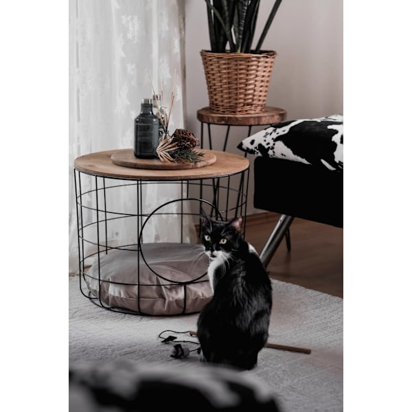 Sohvapöytä Cat