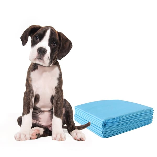 Hundträningsdynor, läckagesäkra, 5-lagers, 100-pack, 60x90 cm