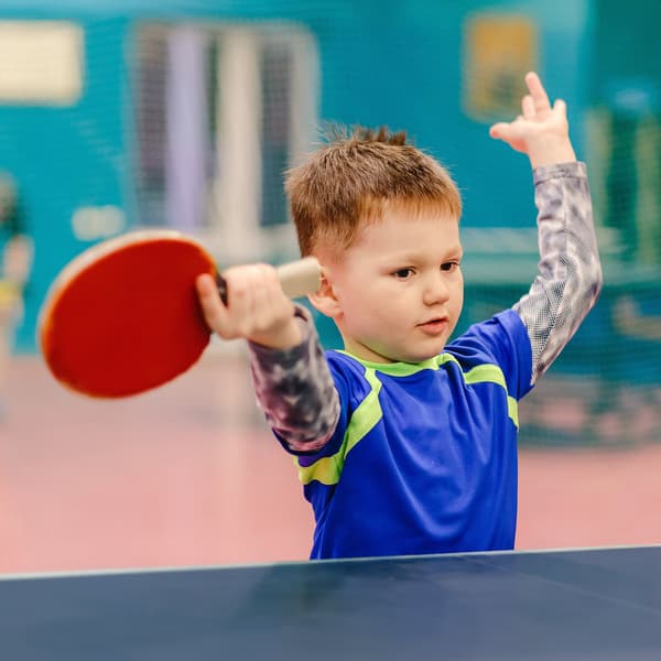 Fällbart bordtennisbord med tillbehör