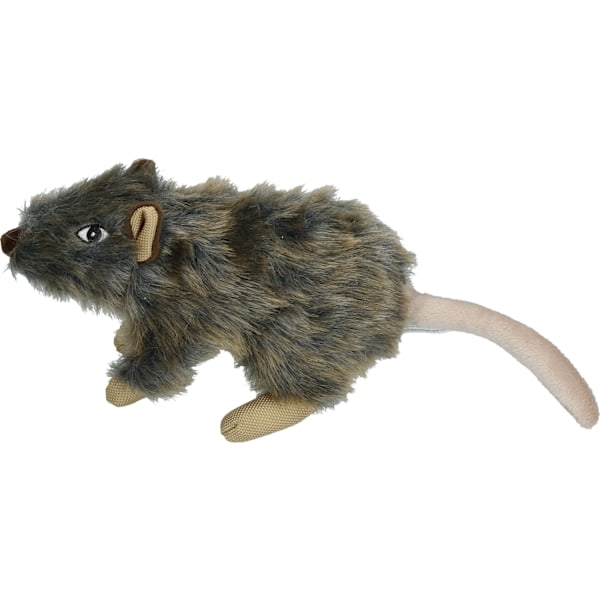 Wild Life Hunde Rotte