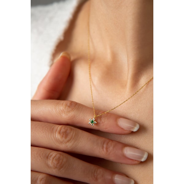 Silverhalsband PP4019