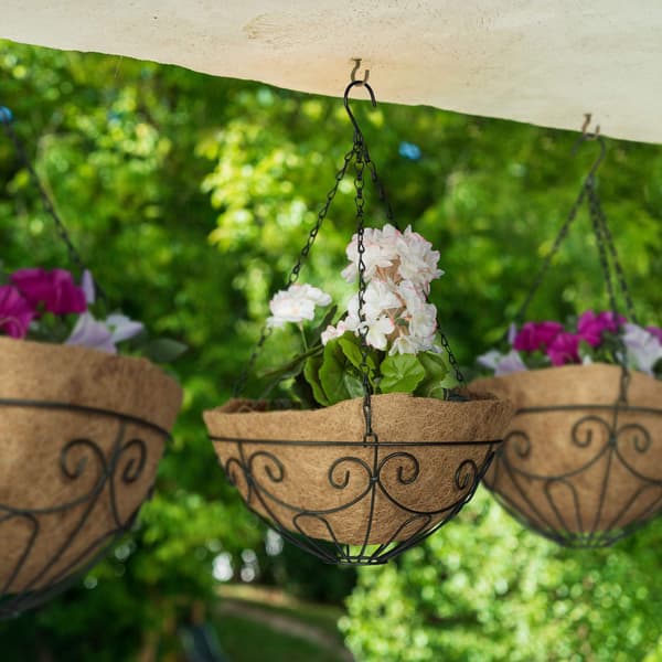 Grapevine Set med 3 kokosnöt