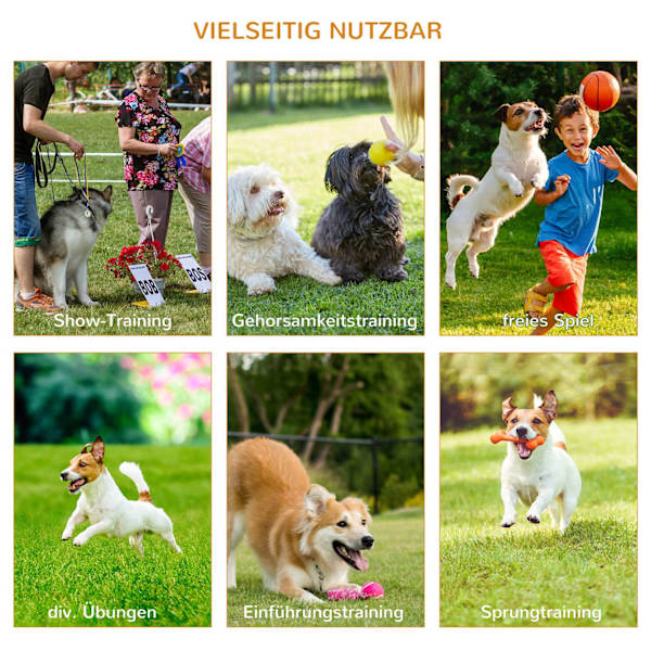 3-Delt Hunde Agility Sæt Træningssæt Til Kæledyr Hundetræningssæt Inkluderer Taske Let At Bære Plast Hvid + Gul