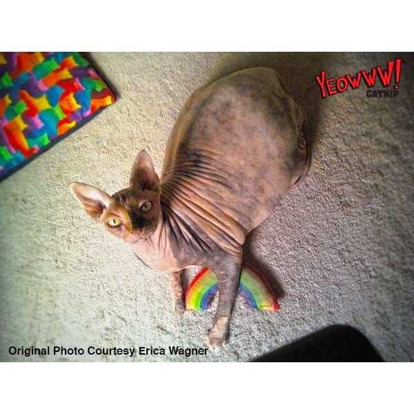 Yeowww Rainbow