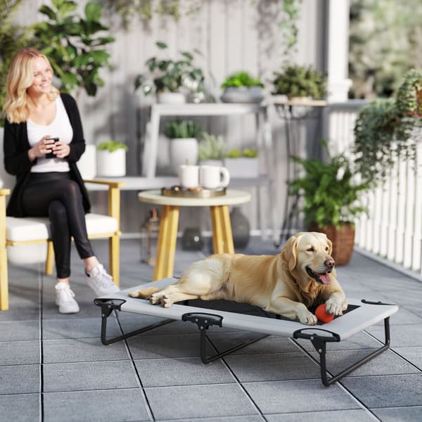 Forhøjet hundeseng med åndbart mesh, stor, lysegrå
