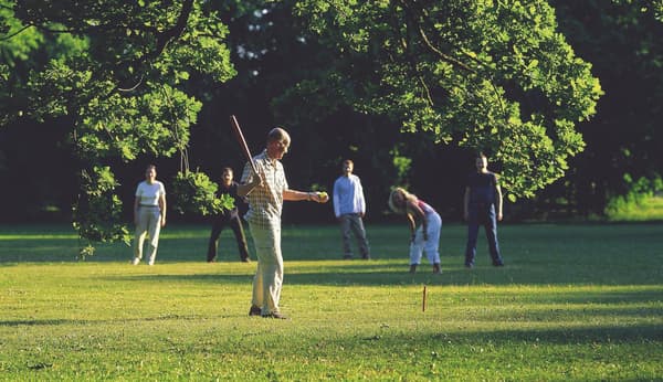 Pelisarja Rounders