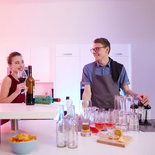 Rengöringsborstar för glas