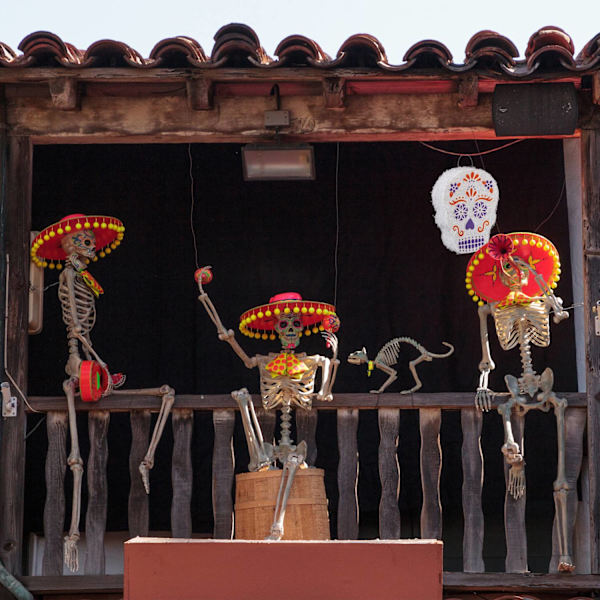 Pinata kallo