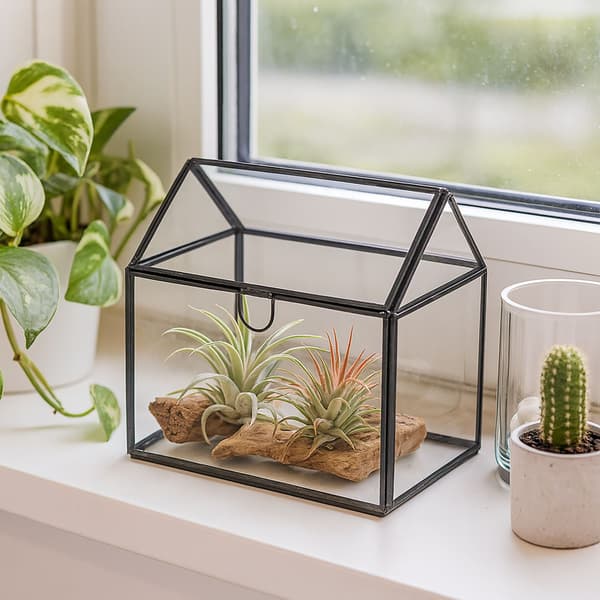 Glasplanteterrium, husformet, kompakt størrelse