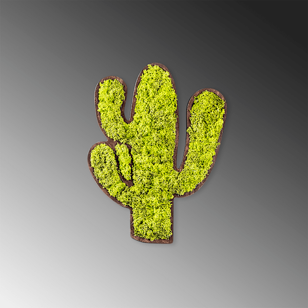 Dekorativt väggtillbehör Cactus