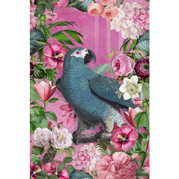 The Parrots Paradise Garden 2 - 50x70 cm