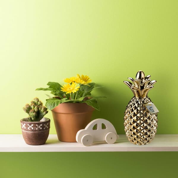 Säästöpossu ananas