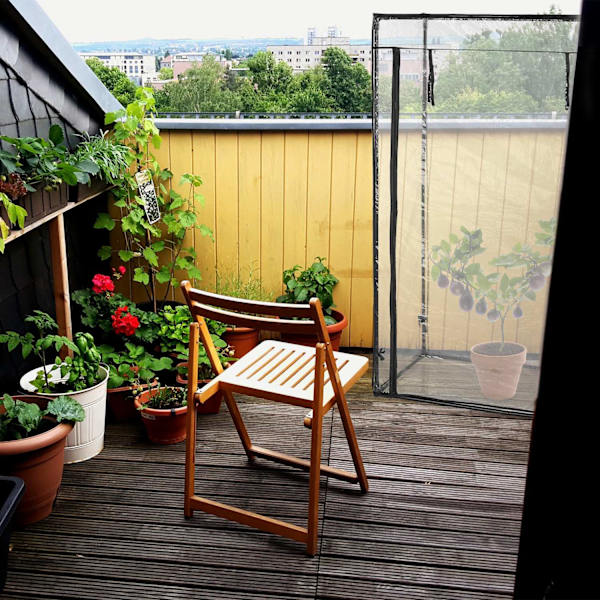 Tomatväxthus av PVC