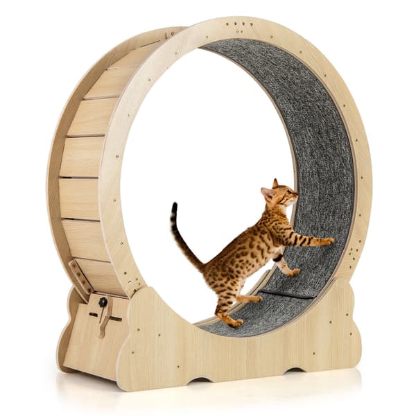 Kattträningshjul med lås, 101 cm, tyst design