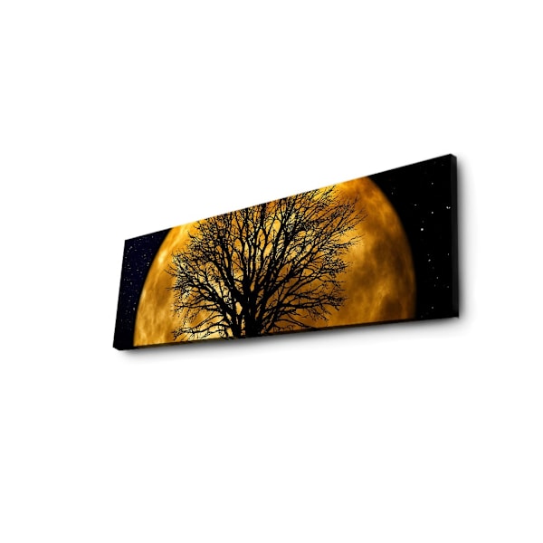 Dekorativ LED-belyst canvasmålning 3090DACT-71