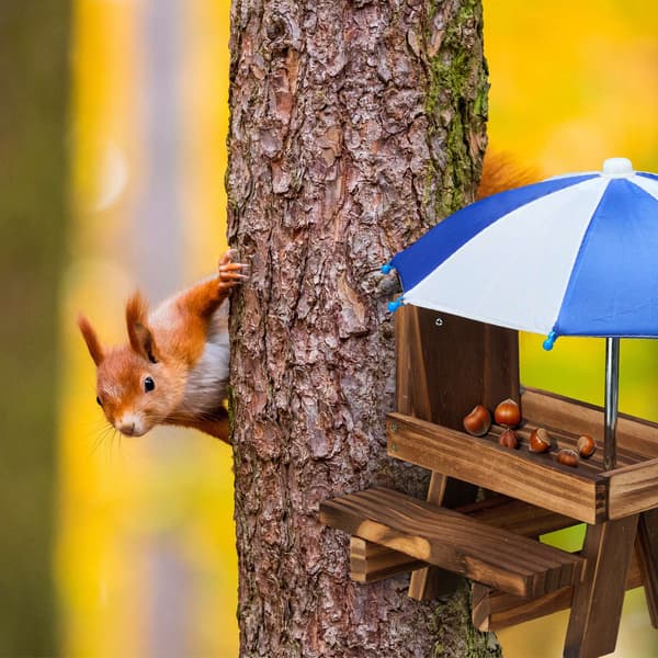 Squirrel Picnic Pöydän syöttölaite kahdella sateenvarjolla