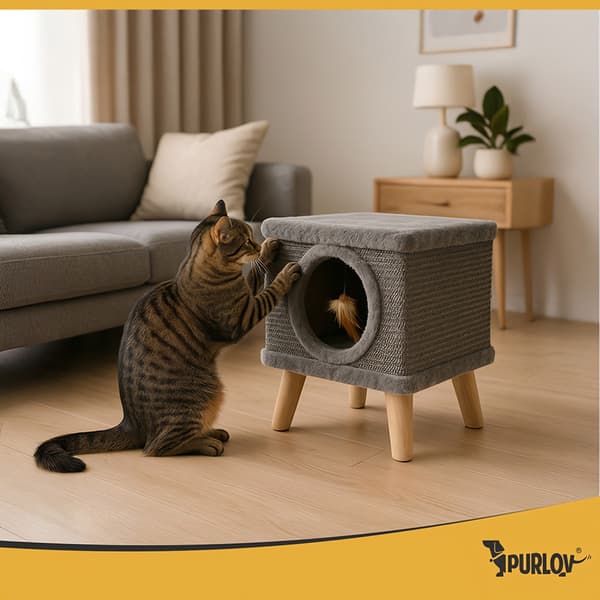 Kradsetræ til katte med seng, sisal, staldben