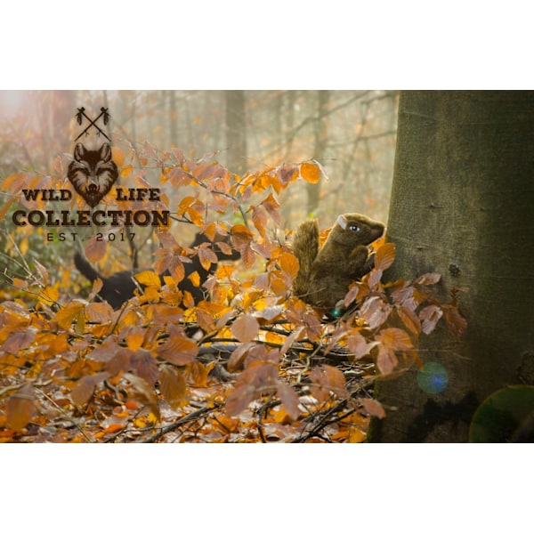 Wild Life Hundeegern