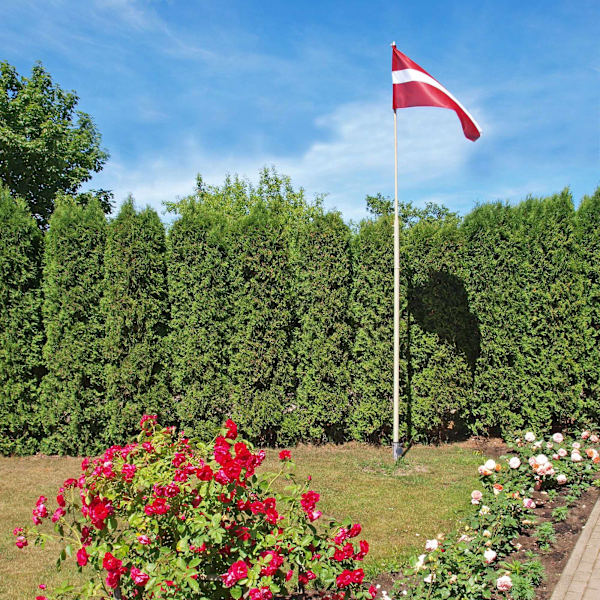 Maadoitettu teräsholkki