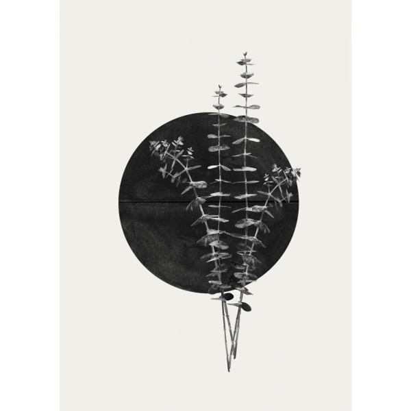 Plant And Black Sun - 50x70 cm