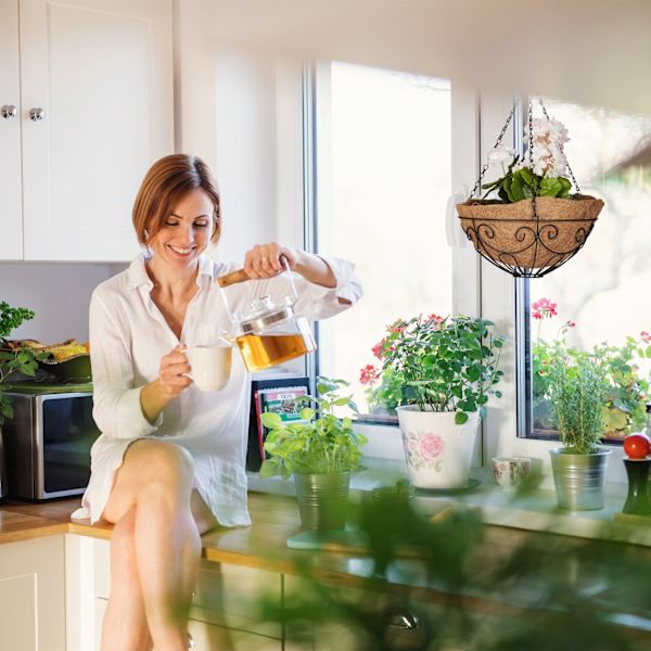 Grapevine Uppsättning om 3 Kokosnöt