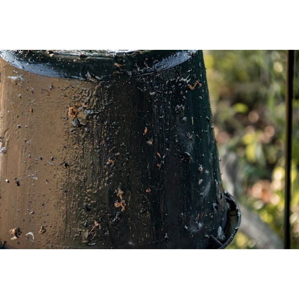 Sticky Trap hink svart komplett