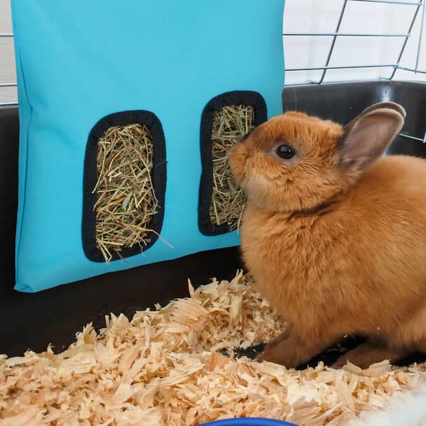 Heinäpussi pienille eläimille