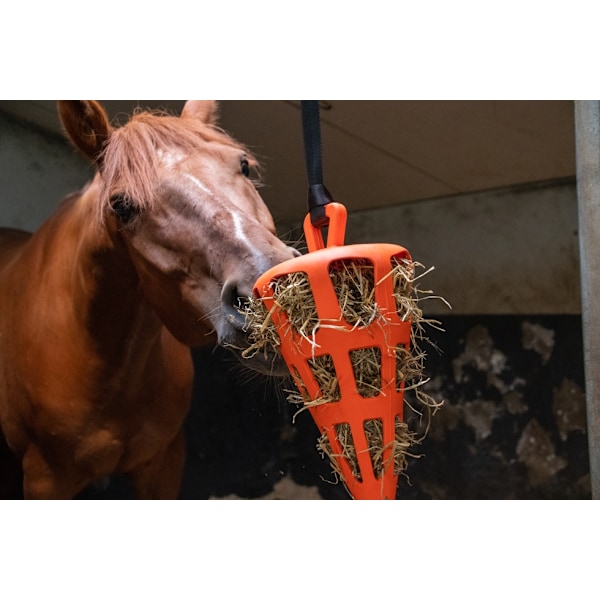 Hay Slowfeeder fun and flex 22 cm Grön morot